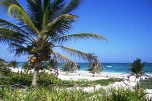 Car hire Cancun