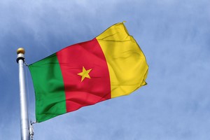 Car hire Cameroon