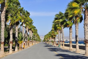 Car hire Limassol