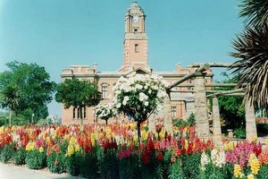 Car hire Harrismith