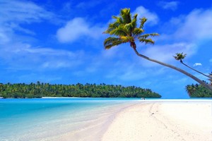 Car hire Hawaii