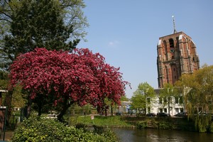 Car hire Leeuwarden