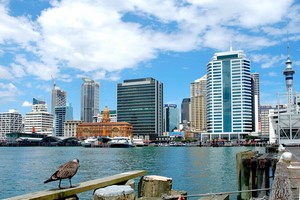 Car Hire Auckland (Compare) Cheap Car Rental Auckland